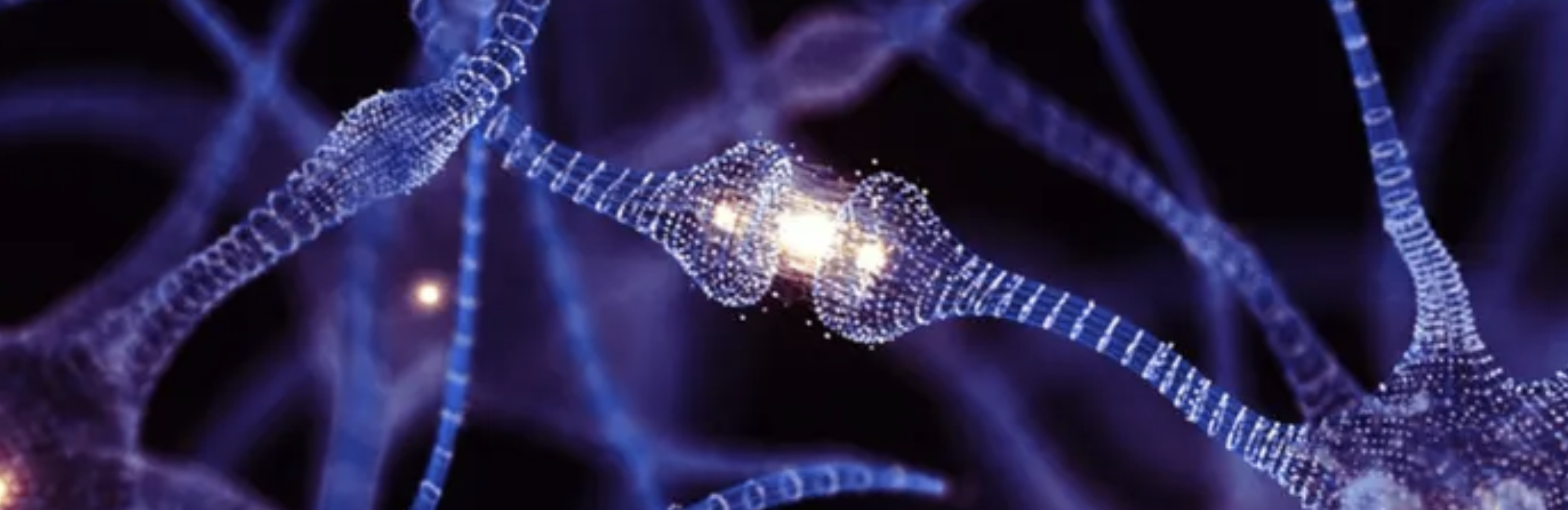 سباق في وادي السيليكون لتغيير قواعد الإنجاب